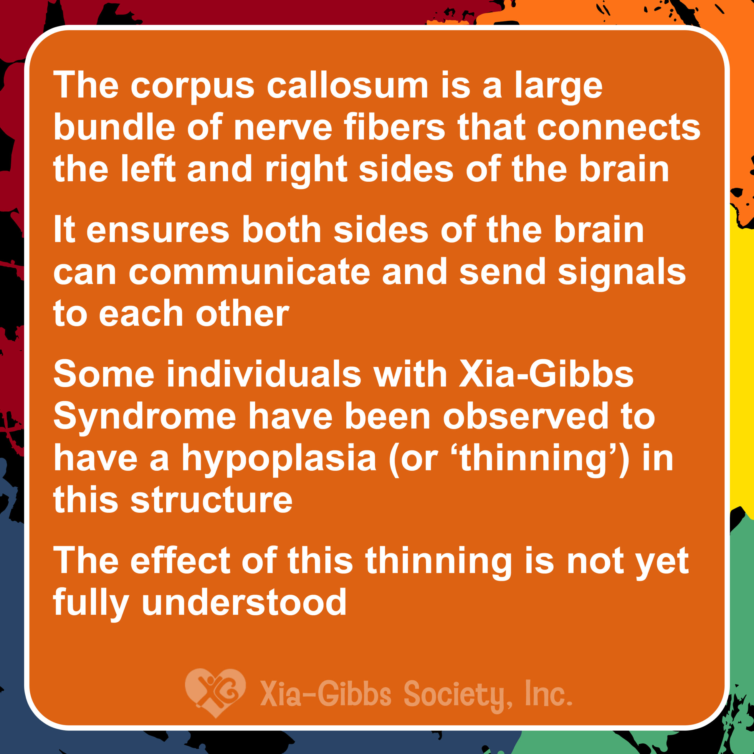 10CORPUS2