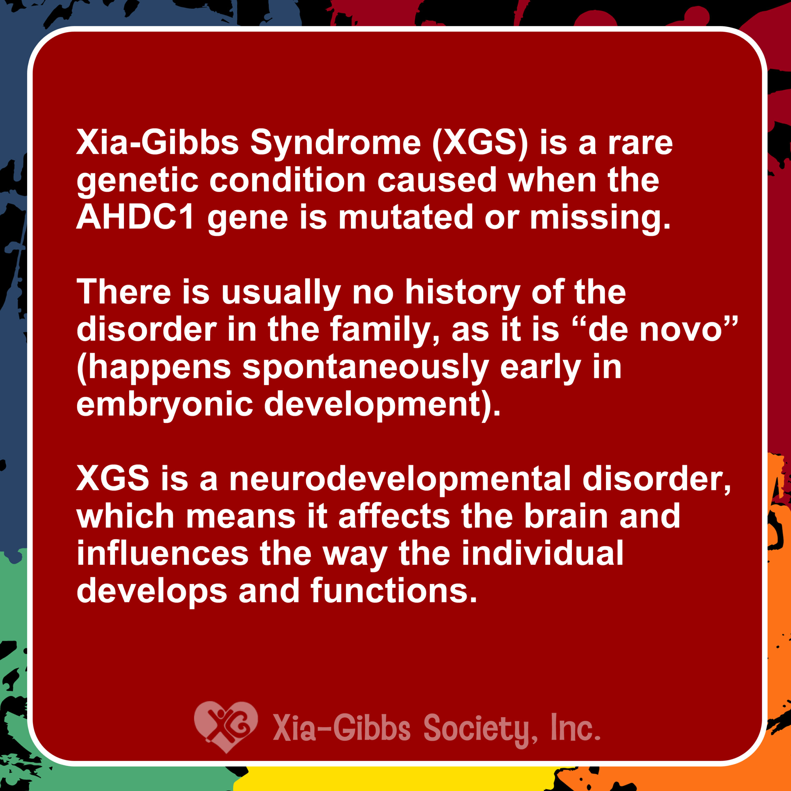 2XGS TILE2